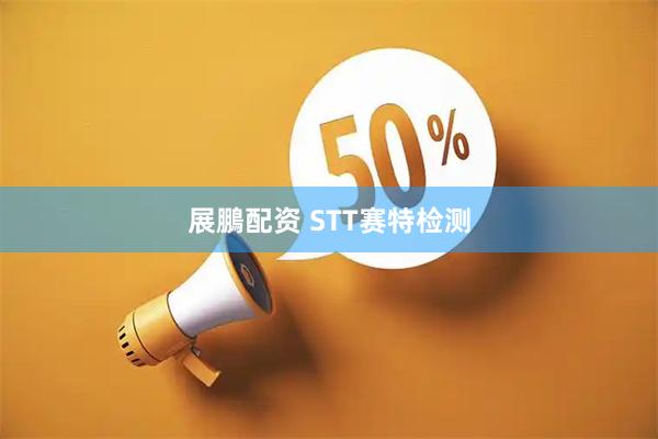 展鵬配资 STT赛特检测