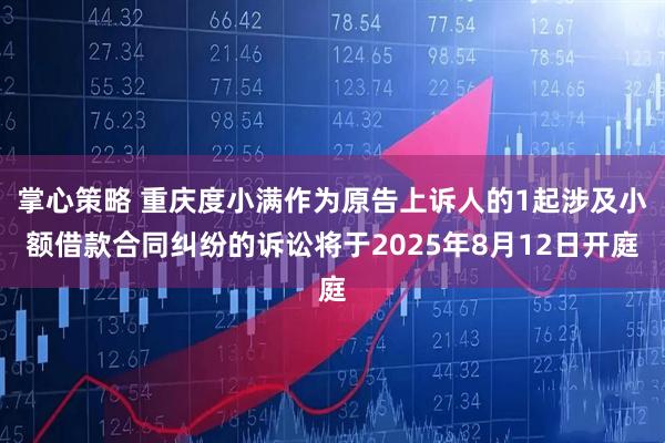 掌心策略 重庆度小满作为原告上诉人的1起涉及小额借款合同纠纷的诉讼将于2025年8月12日开庭