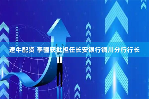 速牛配资 李骊获批担任长安银行铜川分行行长