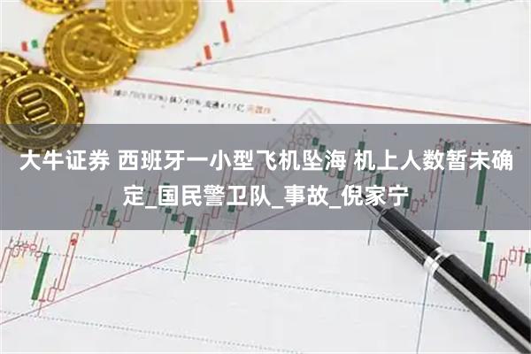 大牛证券 西班牙一小型飞机坠海 机上人数暂未确定_国民警卫队_事故_倪家宁