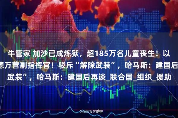 牛管家 加沙已成炼狱，超185万名儿童丧生！以军：打死哈马斯谢赫拉德万营副指挥官！驳斥“解除武装”，哈马斯：建国后再谈_联合国_组织_援助