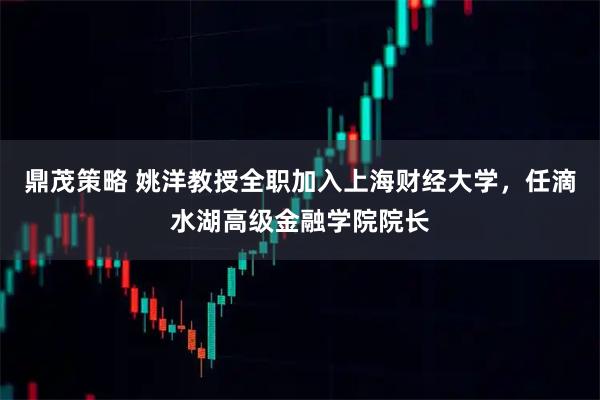 鼎茂策略 姚洋教授全职加入上海财经大学，任滴水湖高级金融学院院长
