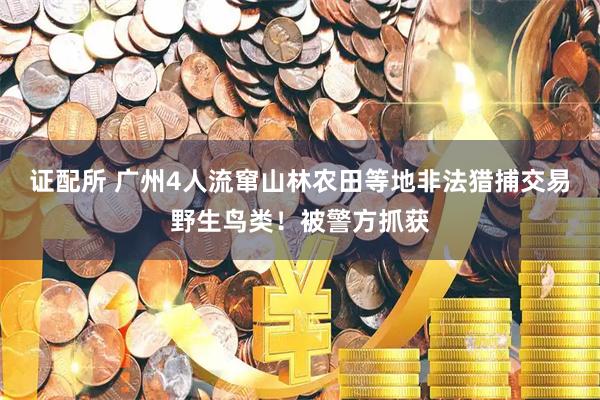 证配所 广州4人流窜山林农田等地非法猎捕交易野生鸟类！被警方抓获