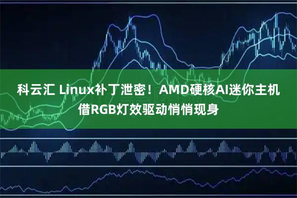 科云汇 Linux补丁泄密！AMD硬核AI迷你主机借RGB灯效驱动悄悄现身